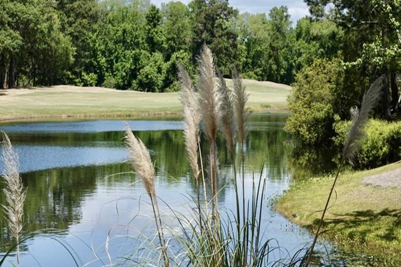 Things To Do Kiawah Island Golf Courses